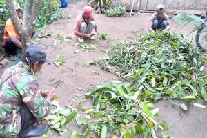 Mewujudkan Desa Agrowisata Vanili di Jatim