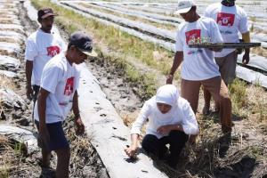 Berharap Gubernur Khofifah Tiru Bali Sejahterakan Petani