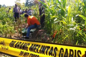 Polisi Tangkap Pembunuh dan Pembakar Mayat di Kebun Jagung