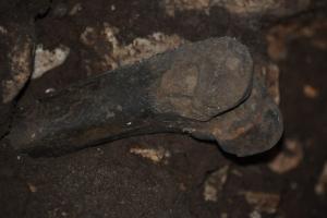 Menyelam, Warga Ngawi Temukan Tulang Raksasa Purba