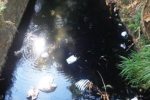Pembalut dan Popok  Ditemukan di 'Sungai Hitam' Ponorogo