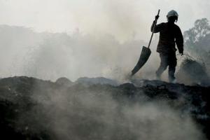 Kebakaran Ludeskan 157 Hektare Lahan di Mojokerto