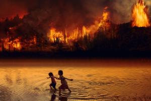 Renggut Hak Anak, Pembakar Hutan Harus Ditindak Tegas