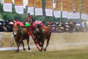 Bakal Ada Festival Madura Raya Tahun Depan