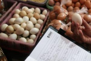 Kenaikan Harga Telur Ayam Sebabkan Inflasi Madiun  Meningkat