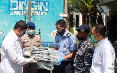 Kediri Dapat Bantuan 1 Ton Ikan Dari Pelabuhan Perikanan Nusantara Prigi