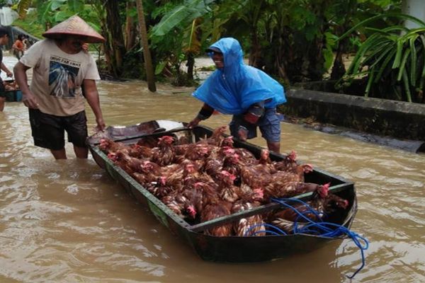 2 Ribu Lebih KK di Jember Terdampak Banjir dan Longsor
