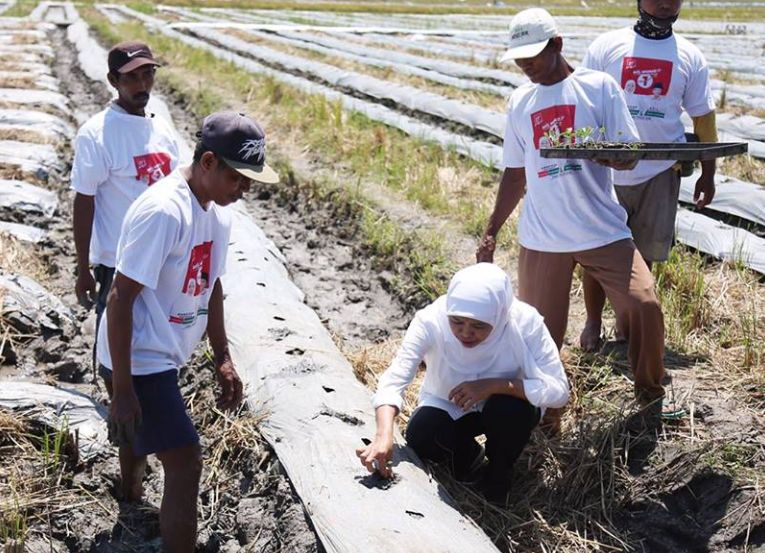 Berharap Gubernur Khofifah Tiru Bali Sejahterakan Petani