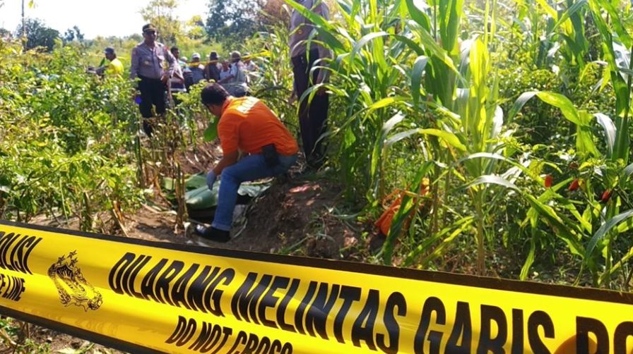 Polisi Tangkap Pembunuh dan Pembakar Mayat di Kebun Jagung