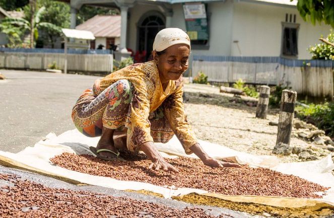 Jeritan Petani Cengkih Madiun