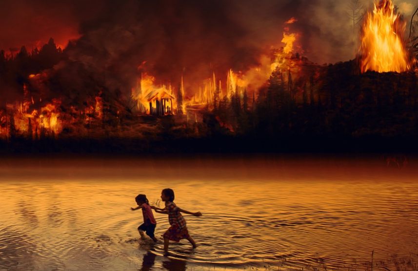 Renggut Hak Anak, Pembakar Hutan Harus Ditindak Tegas