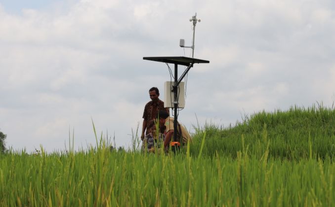 Genjot Produksi, Petani Daerah Tertinggal Terapkan 'Smart Farming'