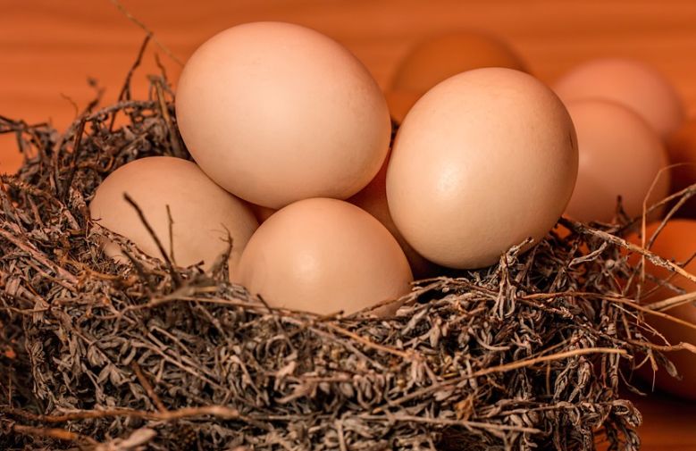 Jangan Telan Mentah-mentah Isu Telur Limbah Plastik