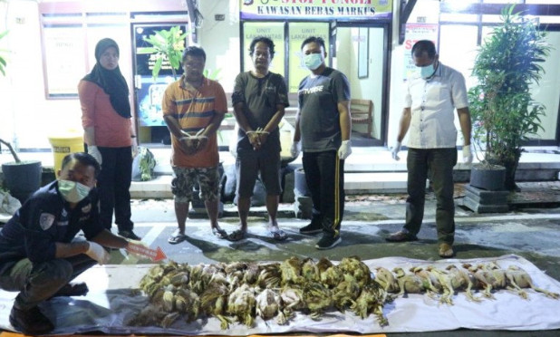 Polisi Ringkus Pelaku  Praktik Penjualan Bangkai ayam di Blitar