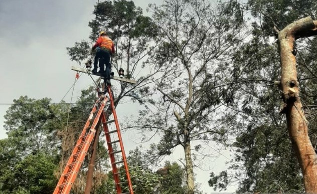 Guna Tingkatkan Pelayanan, PLN UID Jatim Perbaiki Jarak Aman Kelistrikan di Madura