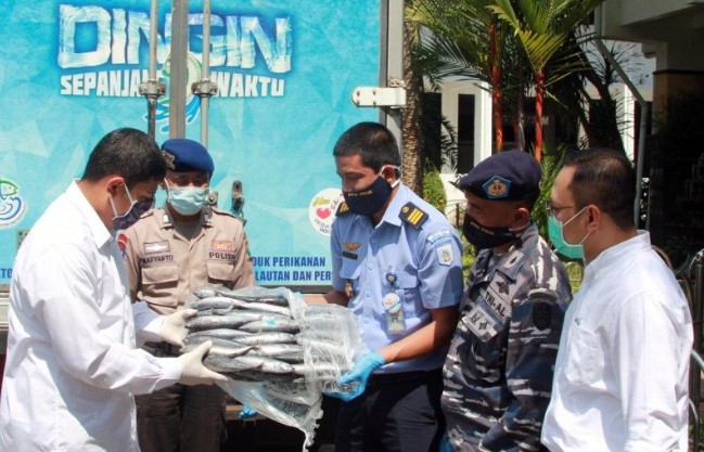 Kediri Dapat Bantuan 1 Ton Ikan Dari Pelabuhan Perikanan Nusantara Prigi