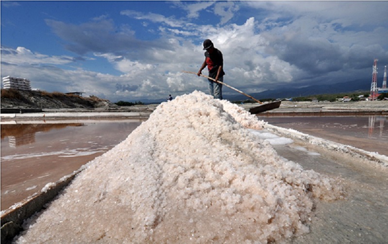 Penyebab Garam Lokal Tak Mampu Bersaing di Pasar Nasional